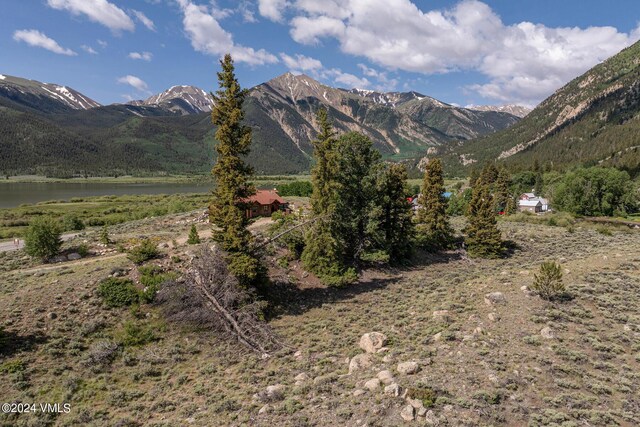 400 Lang, Twin Lakes, CO 81251 - photo 18