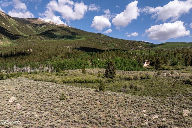 400 Lang, Twin Lakes, CO 81251 - photo 17