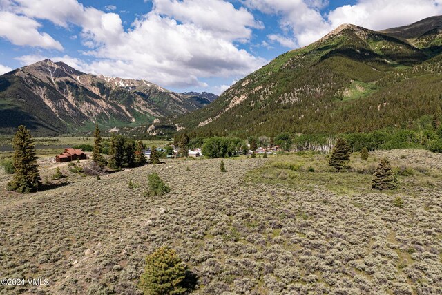 400 Lang, Twin Lakes, CO 81251 - photo 13