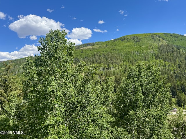 1100 N Frontage Rd Unit 1519, Vail, CO 81657 - mountain view featuring a heavily wooded area