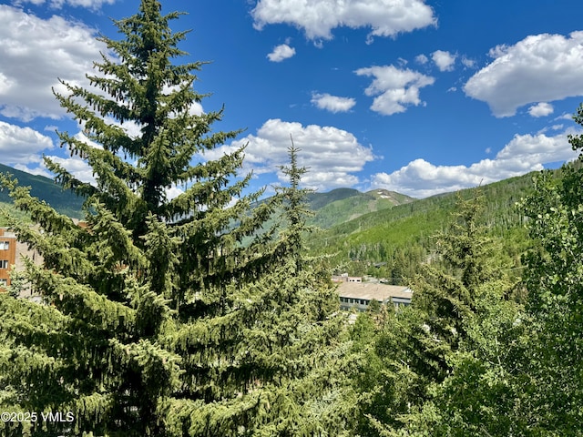 1100 N Frontage Rd Unit 1519, Vail, CO 81657 - view of mountain backdrop featuring a forest