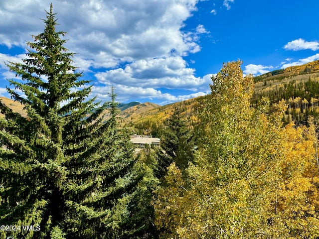 1100 N Frontage Rd Unit 1519, Vail, CO 81657 - mountain view with a forest