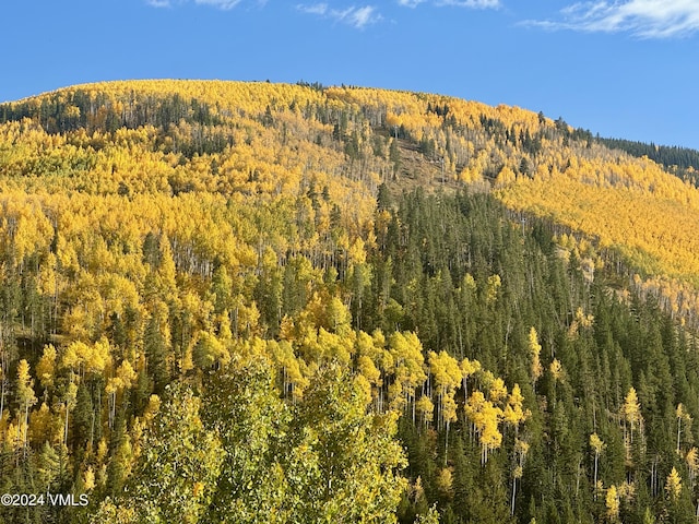 1100 N Frontage Rd Unit 1519, Vail, CO 81657 - view of mountain backdrop with a heavily wooded area