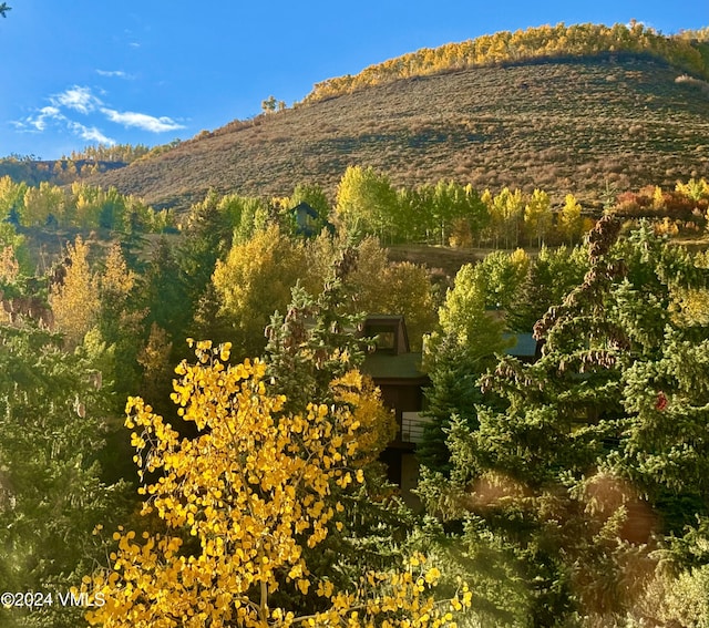 1100 N Frontage Rd Unit 1519, Vail, CO 81657 - view of mountain backdrop