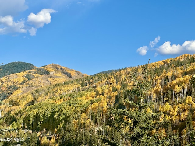 1100 N Frontage Rd Unit 1519, Vail, CO 81657 - view of mountain backdrop with a heavily wooded area