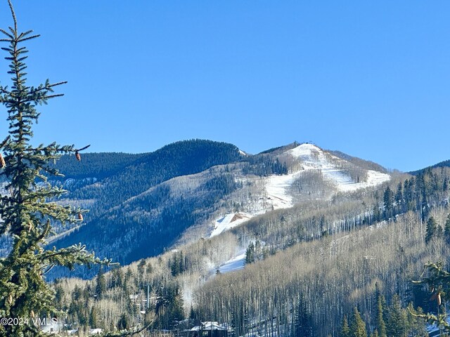 1100 N Frontage Rd Unit 1519, Vail, CO 81657 - mountain view featuring a heavily wooded area