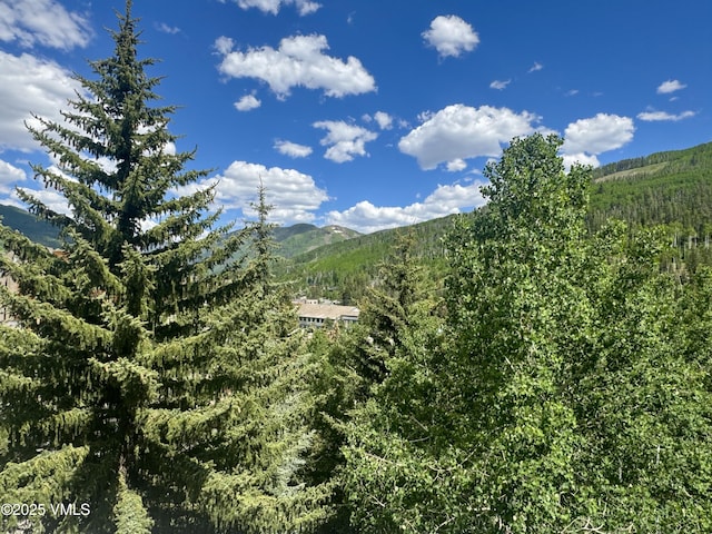 1100 N Frontage Rd Unit 1519, Vail, CO 81657 - view of mountain background featuring a heavily wooded area