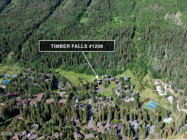 4510 Timber Falls Ct Unit 1208, Vail, CO 81657 - photo 18