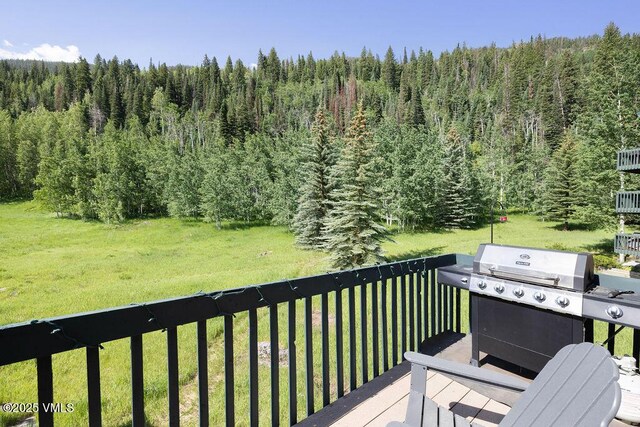 4510 Timber Falls Ct Unit 1208, Vail, CO 81657 - photo 13