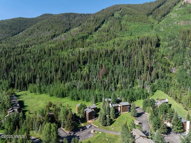 4510 Timber Falls Ct Unit 1208, Vail, CO 81657 - photo 24