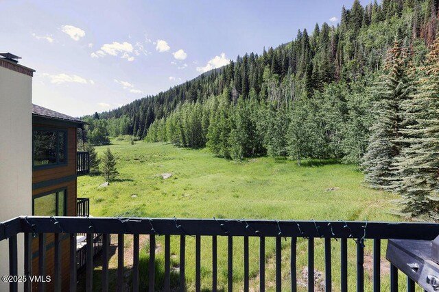 4510 Timber Falls Ct Unit 1208, Vail, CO 81657 - photo 14