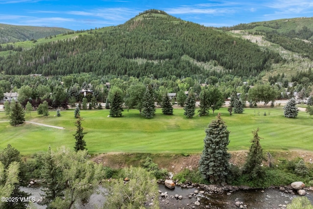 103 Deer Blvd Unit A, Eagle-Vail, CO 81620 - photo 27