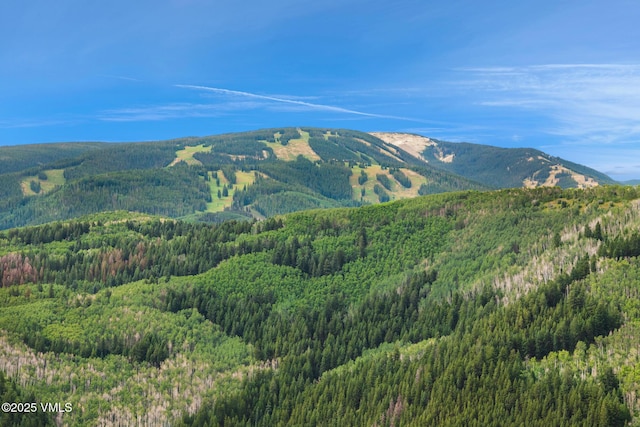 103 Deer Blvd Unit A, Eagle-Vail, CO 81620 - photo 30