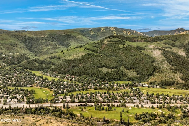103 Deer Blvd Unit A, Eagle-Vail, CO 81620 - photo 29