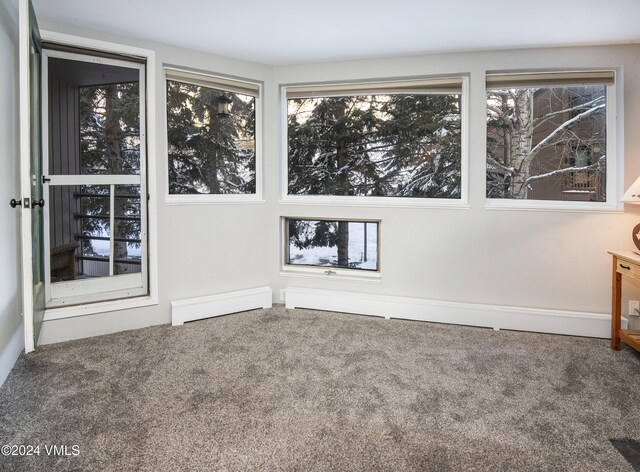 unfurnished room with a baseboard radiator, plenty of natural light, and carpet