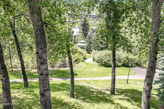 120 Offerson Rd Unit 7320, Beaver Creek, CO 81620 - view of grassy yard