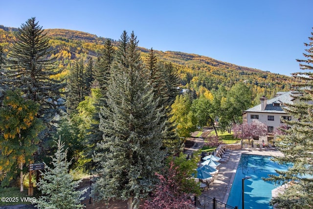 120 Offerson Rd Unit 7320, Beaver Creek, CO 81620 - mountain view featuring a heavily wooded area
