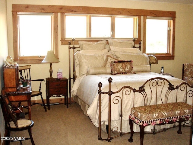 555 Charolais Cir, Edwards, CO 81632 - photo 47
