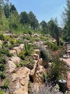 555 Charolais Cir, Edwards, CO 81632 - photo 69