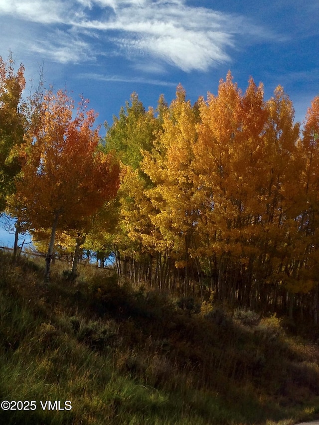 555 Charolais Cir, Edwards, CO 81632 - view of nature