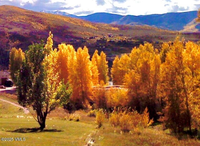 555 Charolais Cir, Edwards, CO 81632 - view of mountain background