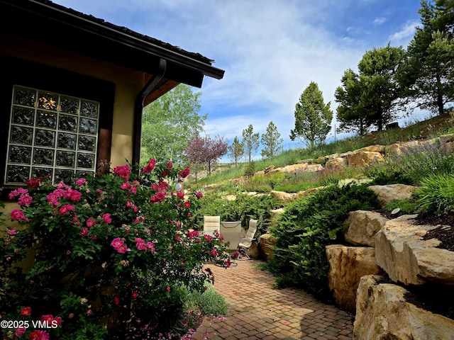 555 Charolais Cir, Edwards, CO 81632 - view of yard featuring a patio