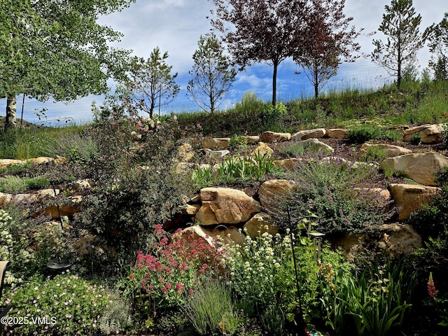 555 Charolais Cir, Edwards, CO 81632 - view of undeveloped land