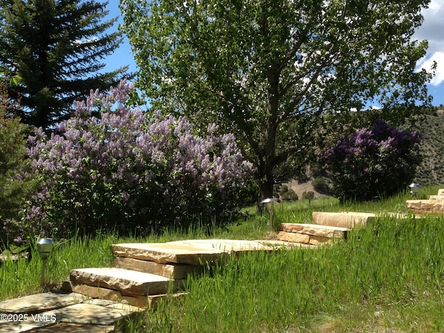 555 Charolais Cir, Edwards, CO 81632 - view of yard