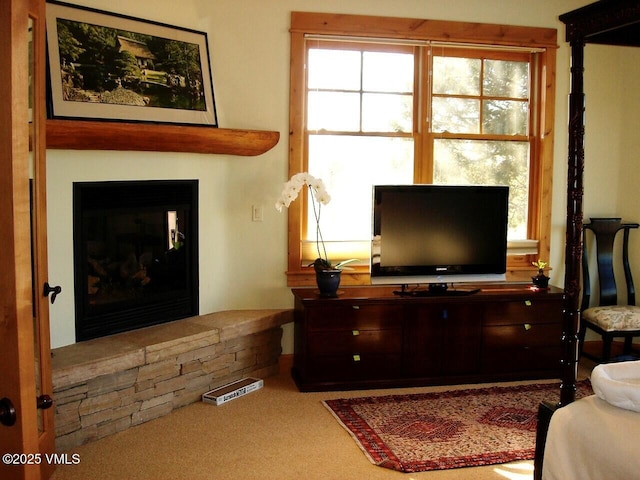 555 Charolais Cir, Edwards, CO 81632 - photo 41