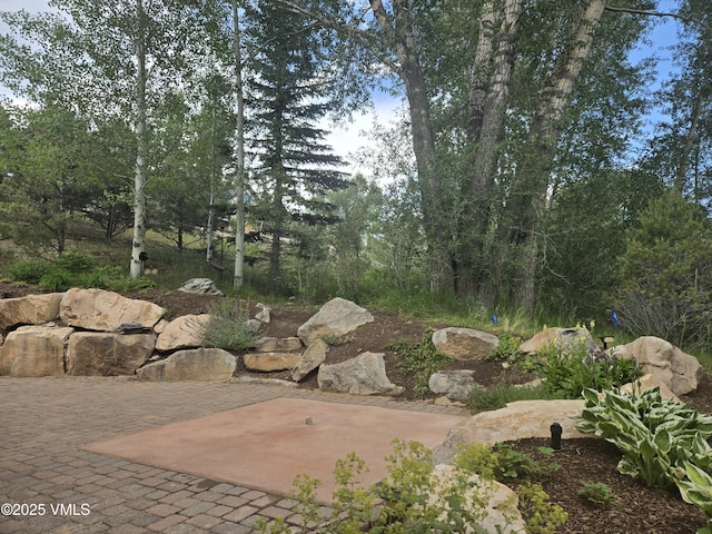 555 Charolais Cir, Edwards, CO 81632 - photo 18