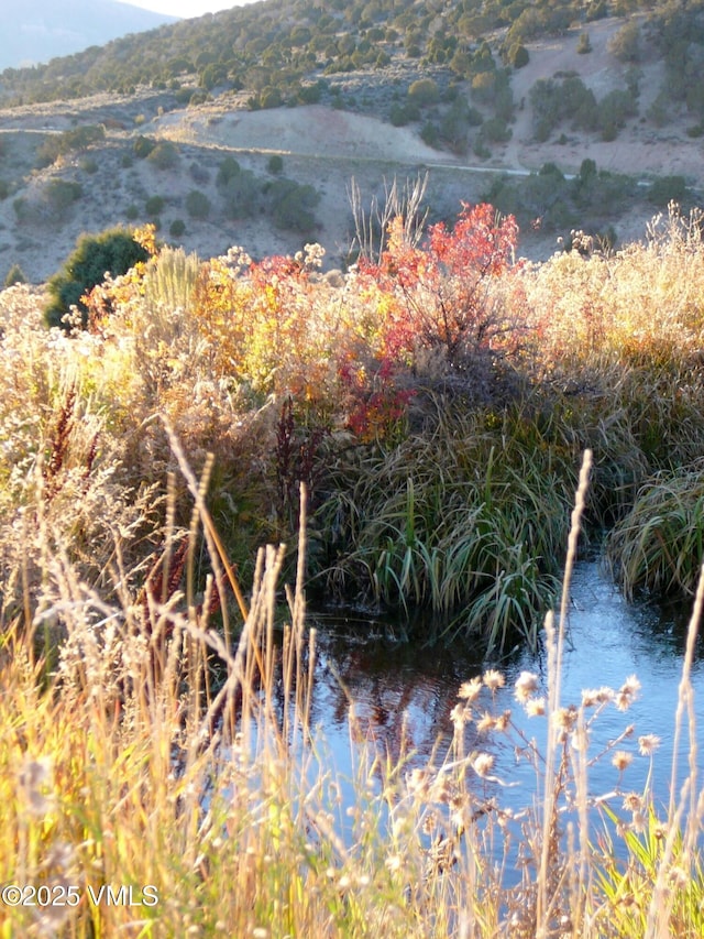 555 Charolais Cir, Edwards, CO 81632 - water view featuring a mountain backdrop