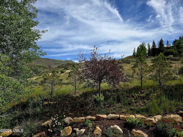 555 Charolais Cir, Edwards, CO 81632 - view of mountain backdrop