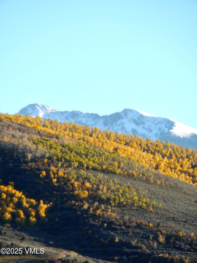 555 Charolais Cir, Edwards, CO 81632 - view of mountain backdrop featuring a heavily wooded area