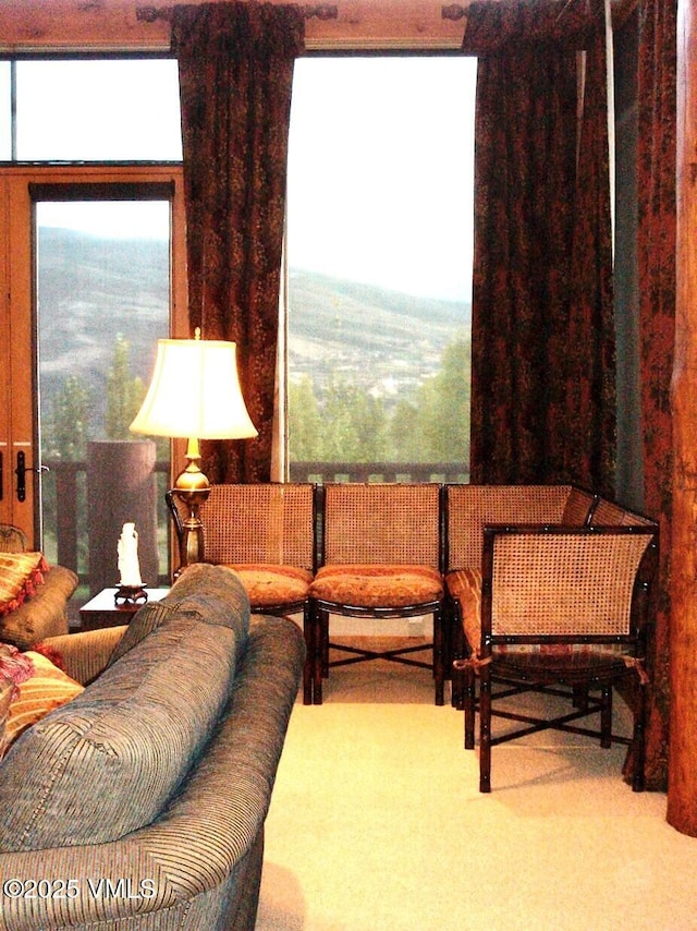 555 Charolais Cir, Edwards, CO 81632 - view of living room