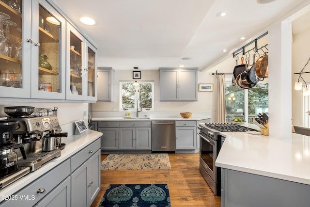 kitchen with a sink, gray cabinets, stainless steel appliances, and wood finished floors