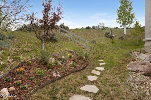 21 Hackamore Rd W, Edwards, CO 81632 - view of yard