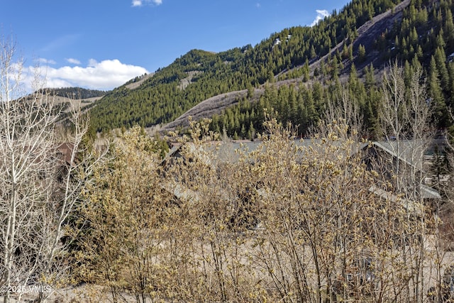 205 Hurd Ln Unit 4311, Avon, CO 81620 - mountain view featuring a wooded view