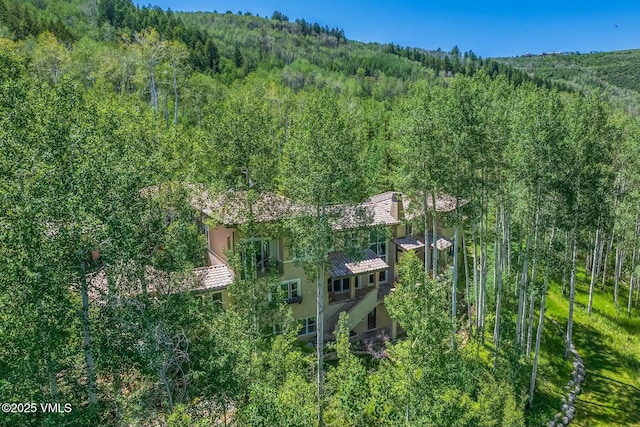 bird's eye view with a view of trees