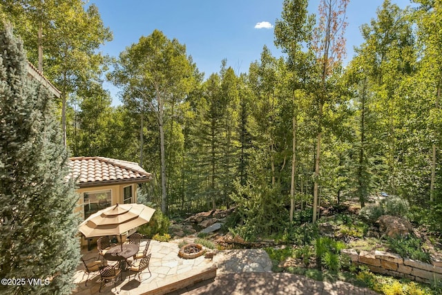 view of yard featuring a fire pit, a wooded view, and a patio