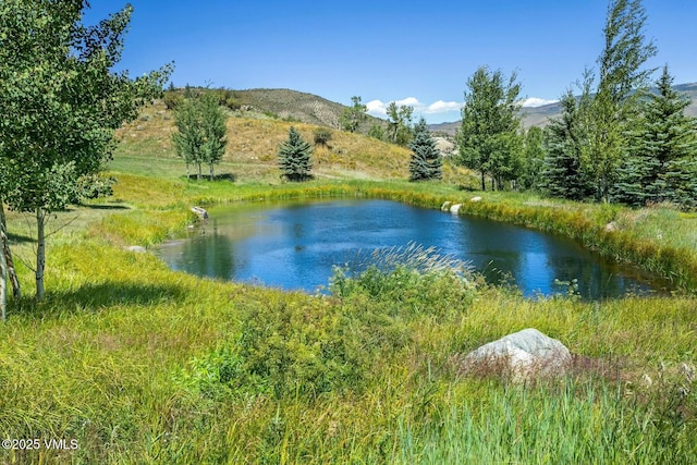 property view of water with a mountain view