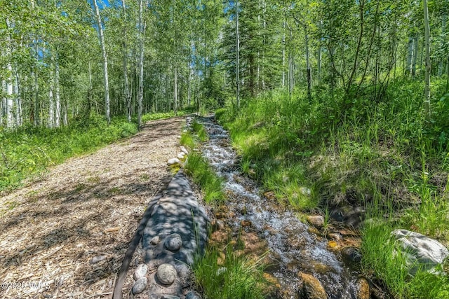 view of road featuring a forest view