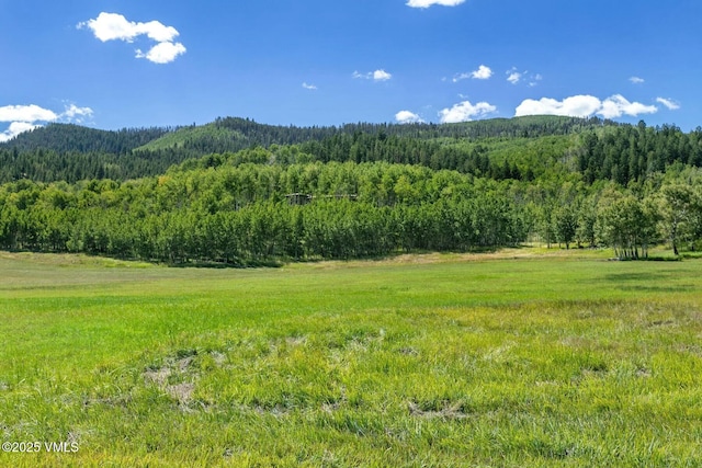 view of mountain feature featuring a wooded view