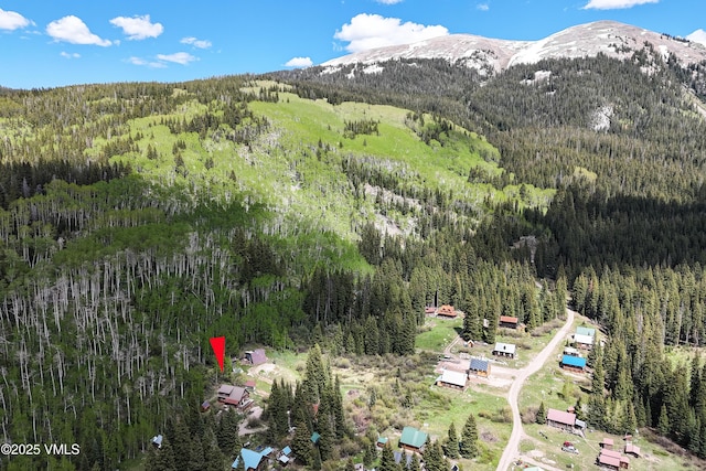 320 Mill, Eagle, CO 81631 - mountain view with a heavily wooded area