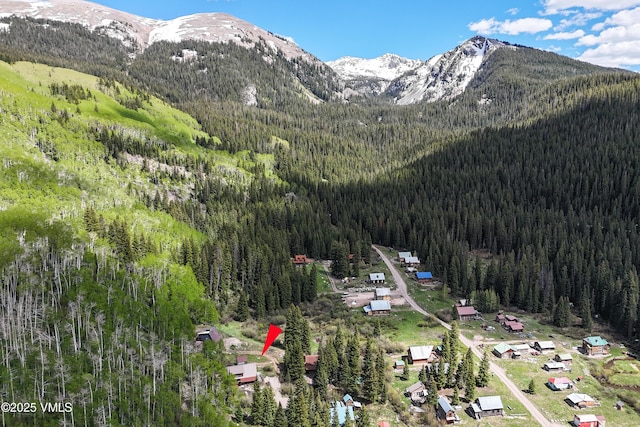 320 Mill, Eagle, CO 81631 - mountain view with a heavily wooded area
