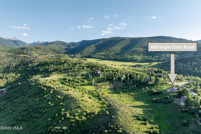 690 Eagle Crest Rd, Edwards, CO 81632 - mountain view