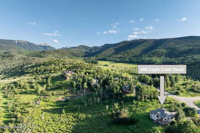 690 Eagle Crest Rd, Edwards, CO 81632 - view of mountain backdrop featuring a heavily wooded area