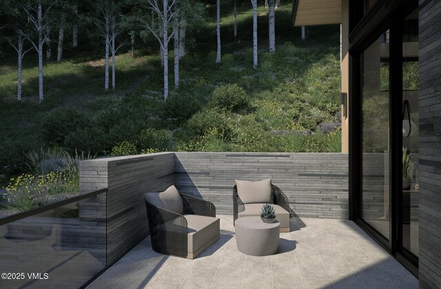1150 Ptarmigan Rd, Vail, CO 81657 - photo 17