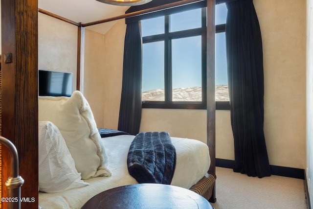 carpeted bedroom with multiple windows and baseboards