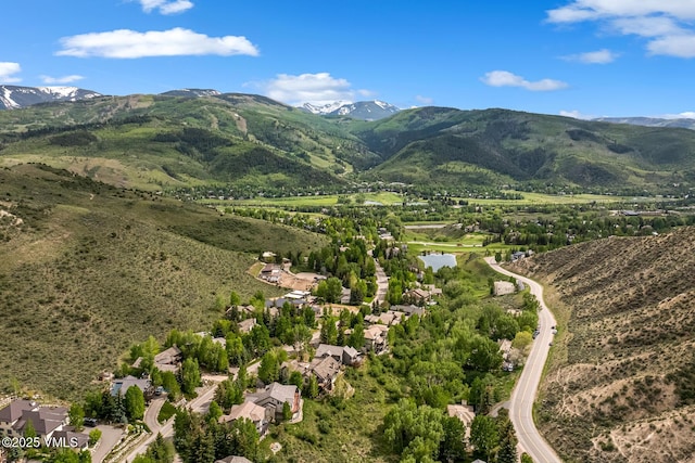 922 June Creek Rd, Edwards, CO 81632 - mountain view