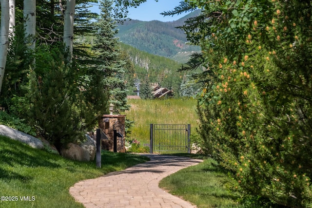 600 Vail Valley Dr Unit 310, Vail, CO 81657 - gate with a mountain view and a wooded view